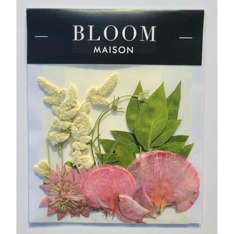 押し花｜花材セット シルバーキャット Pressed Flower Kit インテリア・ギフト・ウェルカムボードなどのハンドメイドに　F-1065 BLOOM MAISON