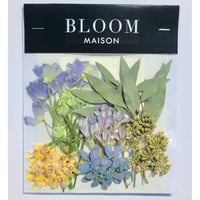 押し花｜花材セット ユーカリ Pressed Flower Kit インテリア・ギフト・ウェルカムボードなどのハンドメイドに　F-921 BLOOM MAISON