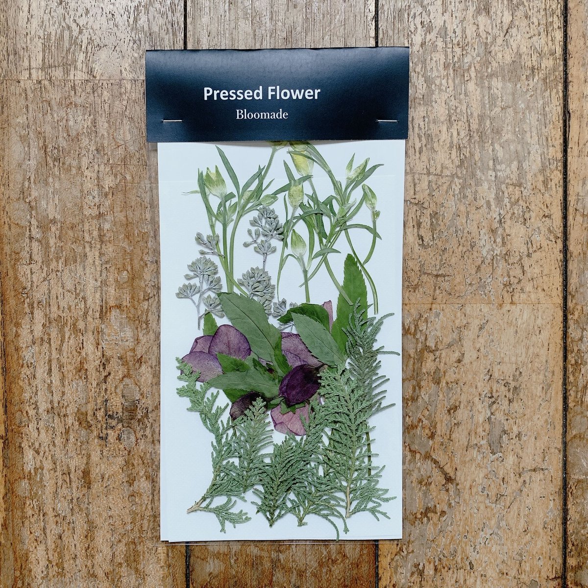 押し花セット 23-09-01 | BLOOM MAISON