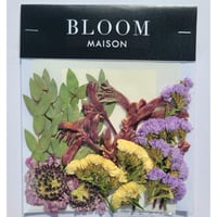 押し花｜花材セット スカビオサ Pressed Flower Kit インテリア・ギフト・ウェルカムボードなどのハンドメイドに　F-934 BLOOM MAISON