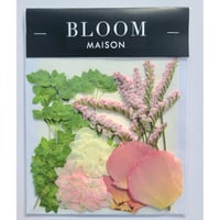押し花｜花材セット トルコキキョウ Pressed Flower Kit インテリア・ギフト・ウェルカムボードなどのハンドメイドに　F-864 BLOOM MAISON