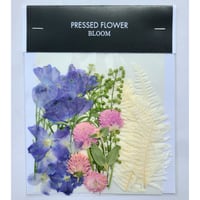 【押し花｜花材セット スプレーデルフィニウム Pressed Flower Kit ギフト・ウエルカムボードなどのハンドメイドに】F-482 BLOOM MAISON