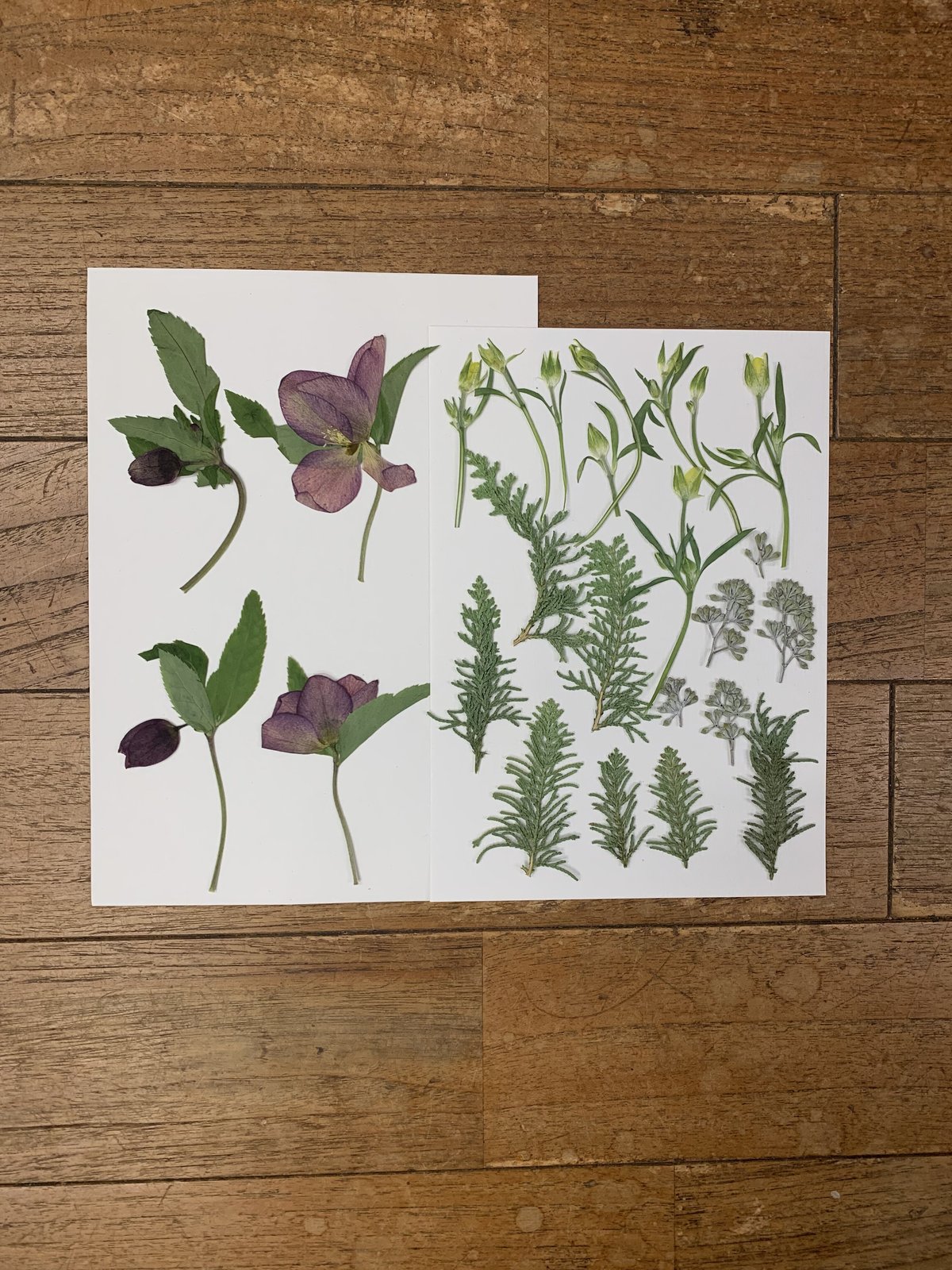 ちゃぁー☆さま専用 大きめ門松一対２個 四セット 花材 オリジナル 自然素材 ちゃぁー☆さま専用 大きめ門松一対2個 四セット 花材 オリジナル