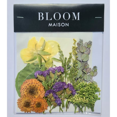 押し花｜花材セット SPマム Pressed Flower Kit インテリア・ギフト・ウェルカムボードなどのハンドメイドに　F-1018 BLOOM MAISON