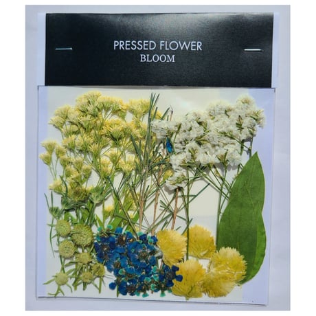 【押し花｜花材セット ワックスフラワー Pressed Flower Kit ギフト・ウェルカムボードなどのハンドメイドに】F-656 BLOOM MAISON
