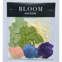 押し花｜花材セット カーネーション Pressed Flower Kit インテリア・ギフト・ウェルカムボードなどのハンドメイドに　F-999 BLOOM MAISON