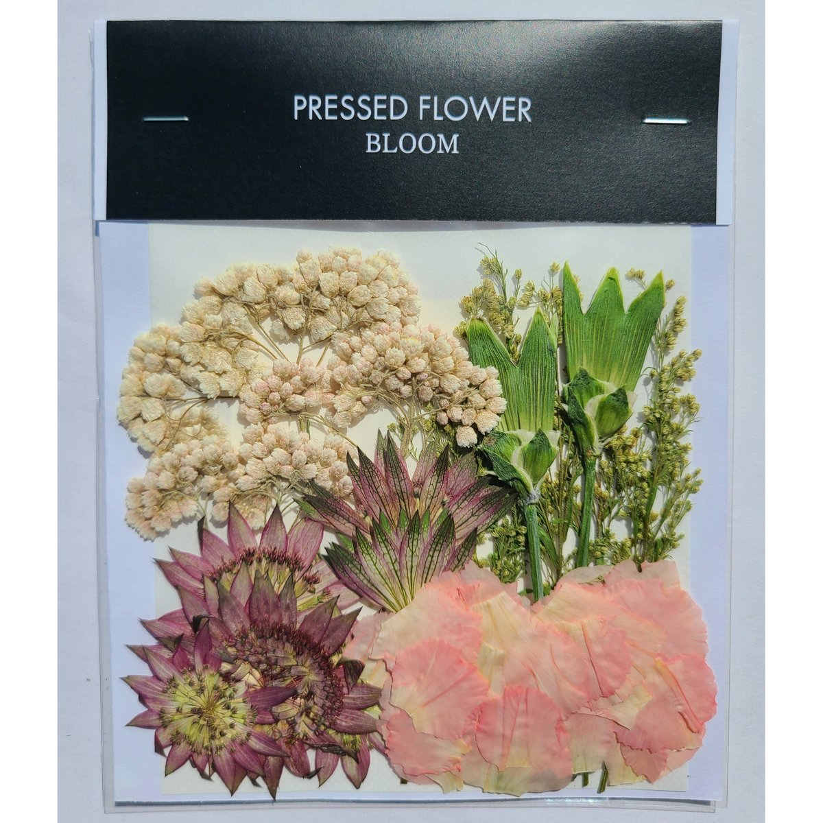 押し花｜花材セット カーネーション Pressed Flower Kit ギフト