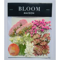押し花｜花材セット ラナンキュラス Pressed Flower Kit インテリア・ギフト・ウェルカムボードなどのハンドメイドに　F-997 BLOOM MAISON