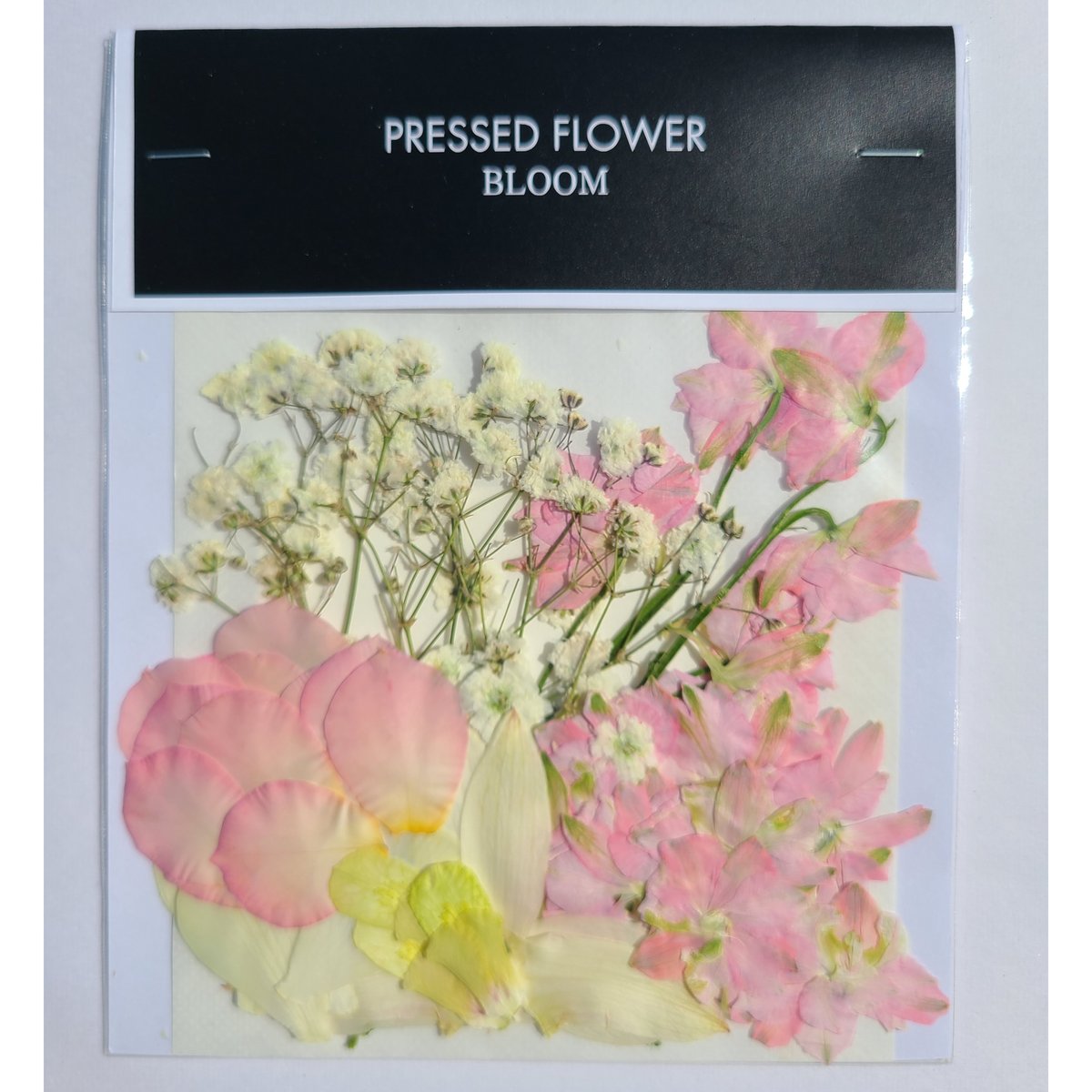 押し花｜花材セット ラクスパー Pressed Flower Kit ギフト