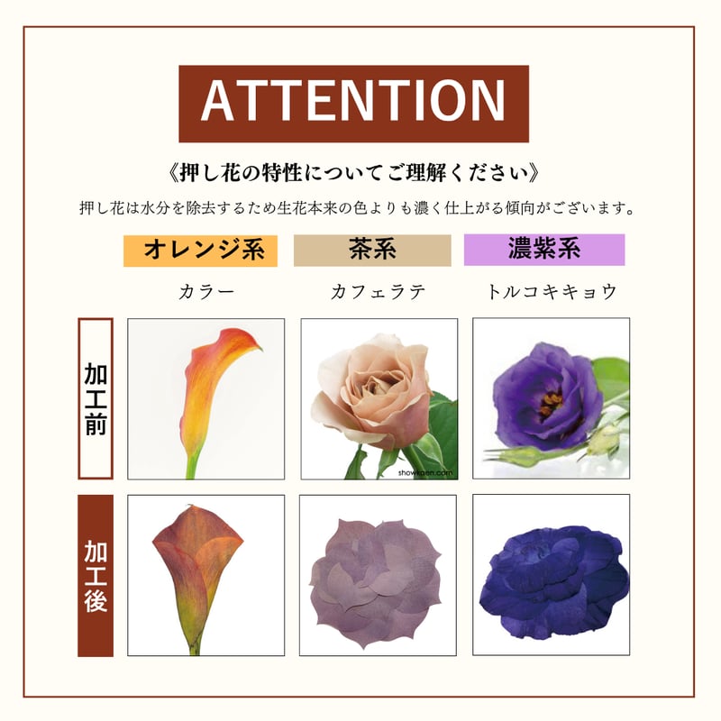 結婚式や挙式のブーケ（花束）：ブリエ ブーケスタイル | BLOOM
