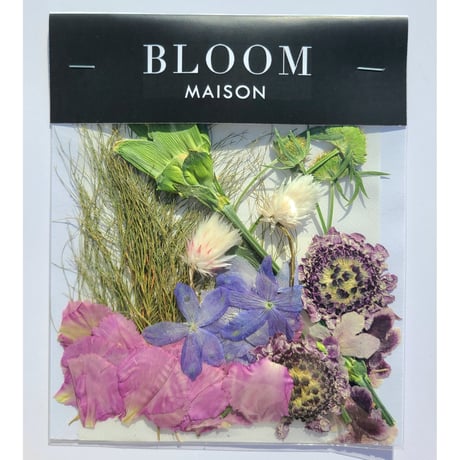 押し花｜花材セット コアラファン Pressed Flower Kit インテリア・ギフト・ウェルカムボードなどのハンドメイドに　F-794 BLOOM MAISON