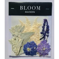 押し花｜花材セット ラクスパー Pressed Flower Kit インテリア・ギフト・ウェルカムボードなどのハンドメイドに　F-908 BLOOM MAISON