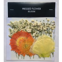 【押し花｜花材セット スターチス Pressed Flower Kit ギフト・ウェルカムボードなどのハンドメイドに】F-557 BLOOM MAISON