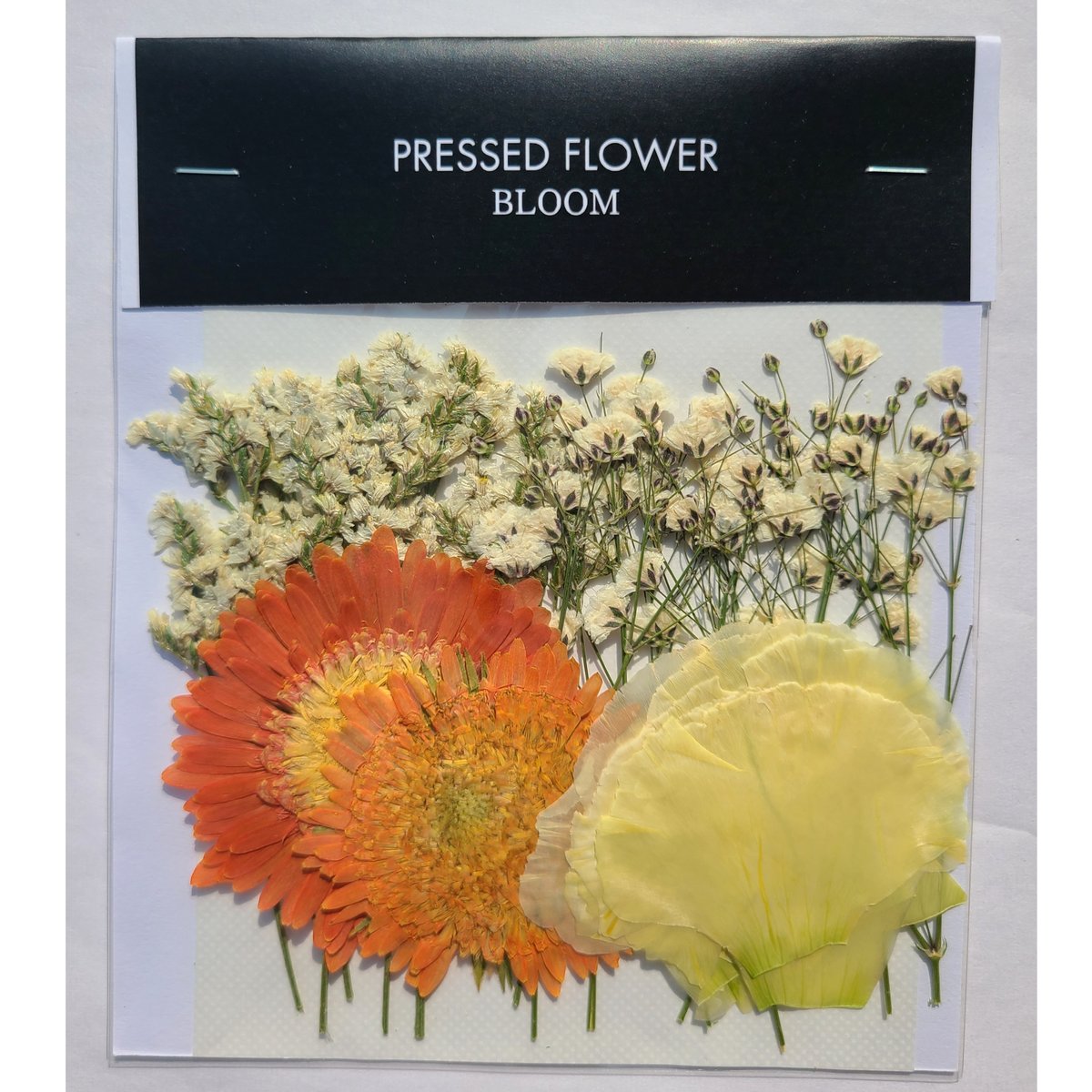 押し花｜花材セット スターチス Pressed Flower Kit ギフト