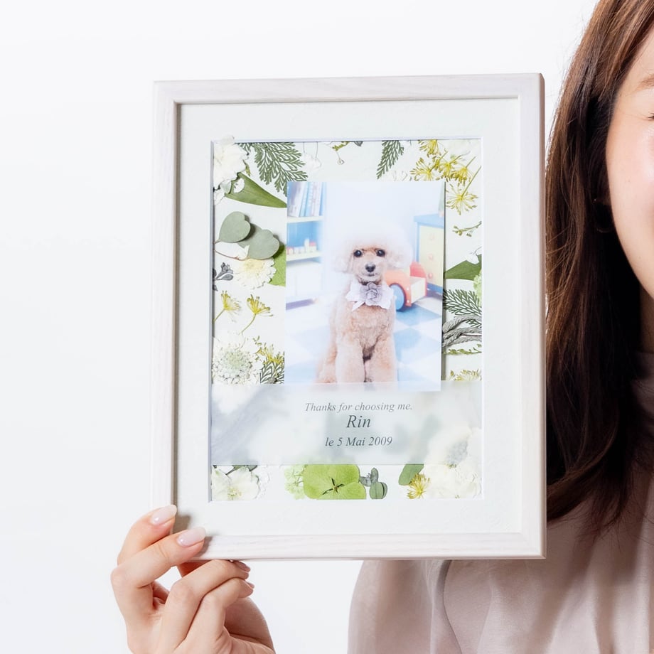 6660274e029af105370decd0