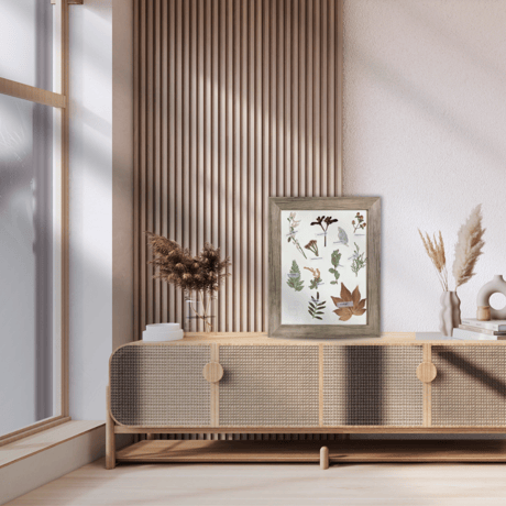 【2025年9月～12月】押し花のお教室：１Dayレッスン  植物標本