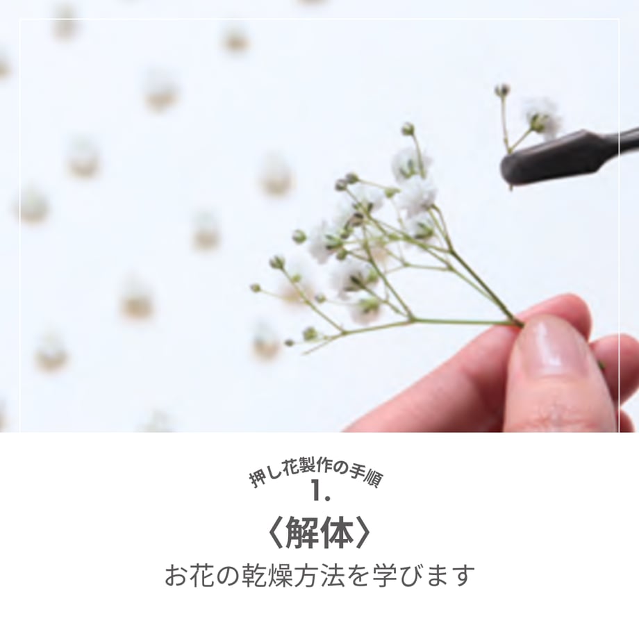 696734a741100f48e3379dc6