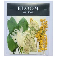 押し花｜花材セット ミモザ Pressed Flower Kit インテリア・ギフト・ウェルカムボードなどのハンドメイドに　F-1046 BLOOM MAISON