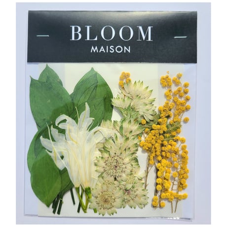 押し花｜花材セット ミモザ Pressed Flower Kit インテリア・ギフト・ウェルカムボードなどのハンドメイドに　F-1046 BLOOM MAISON