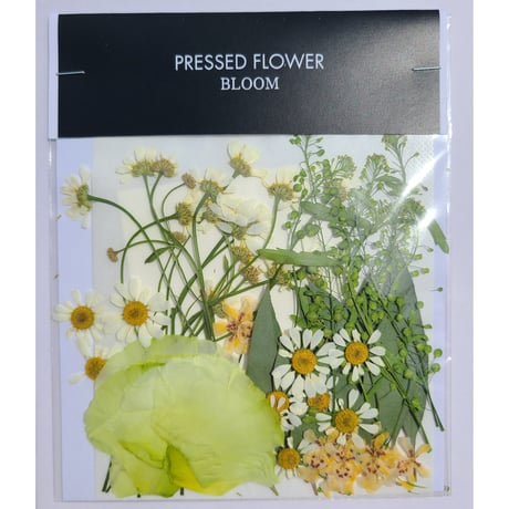 【押し花｜花材セット タラスピオファリム Pressed Flower Kit ギフト・ウエルカムボードなどのハンドメイドに】F-327 BLOOM MAISON