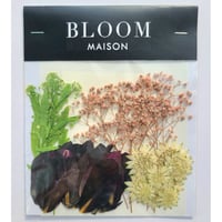 押し花｜花材セット ナズナ Pressed Flower Kit インテリア・ギフト・ウェルカムボードなどのハンドメイドに　F-875 BLOOM MAISON