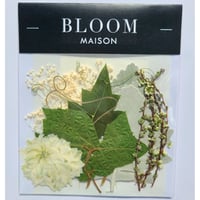 押し花｜花材セット グレープアイビー Pressed Flower Kit インテリア・ギフト・ウェルカムボードなどのハンドメイドに　F-943 BLOOM MAISON