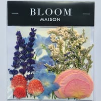 押し花｜花材セット バラ Pressed Flower Kit インテリア・ギフト・ウェルカムボードなどのハンドメイドに　F-935 BLOOM MAISON