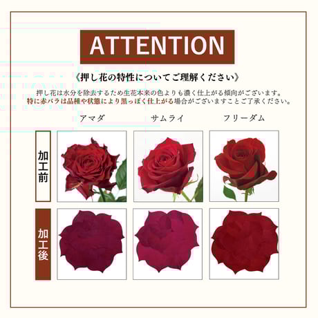 記念（お祝い）の花束を残す｜プティ（1枚）　ブーケスタイル