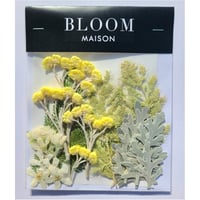 押し花｜花材セット イモーテル Pressed Flower Kit インテリア・ギフト・ウェルカムボードなどのハンドメイドに　F-905 BLOOM MAISON