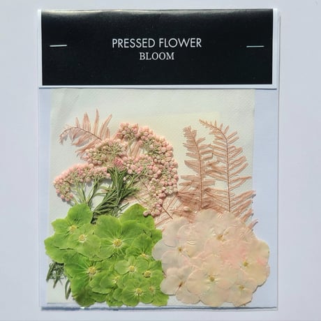 【押し花｜花材セット アンブレラファン Pressed Flower Kit ギフト・ウェルカムボードなどのハンドメイドに】F-665 BLOOM MAISON