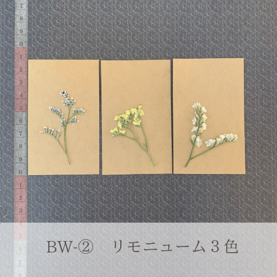 65cb2185e6849803c80661fc