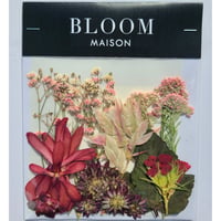 押し花｜花材セット モカラ Pressed Flower Kit インテリア・ギフト・ウェルカムボードなどのハンドメイドに　F-946 BLOOM MAISON
