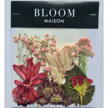 押し花｜花材セット モカラ Pressed Flower Kit インテリア・ギフト・ウェルカムボードなどのハンドメイドに　F-946 BLOOM MAISON
