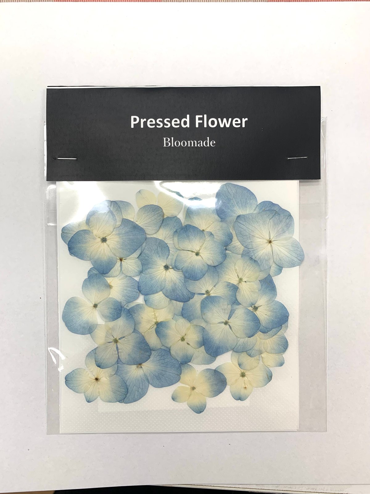 F-64 押し花|アジサイ (水色) | BLOOM MAISON F-64 押し花|アジサイ (水色) | BLOOM MAISON