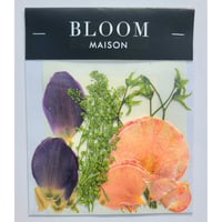 押し花｜花材セット チューリップ Pressed Flower Kit インテリア・ギフト・ウェルカムボードなどのハンドメイドに　F-847 BLOOM MAISON
