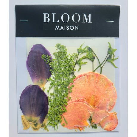 押し花｜花材セット チューリップ Pressed Flower Kit インテリア・ギフト・ウェルカムボードなどのハンドメイドに　F-847 BLOOM MAISON