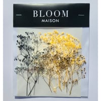 押し花｜花材セット カスミ草 Pressed Flower Kit インテリア・ギフト・ウェルカムボードなどのハンドメイドに　F-889 BLOOM MAISON