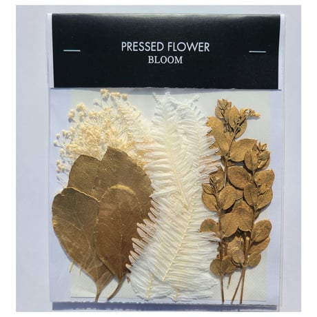 【押し花｜花材セット ユーカリゴールド Pressed Flower Kit ギフト・ウェルカムボードなどのハンドメイドに】F-673 BLOOM MAISON