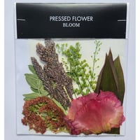 【押し花｜花材セット フレイクショコラータ Pressed Flower Kit ギフト・ウェルカムボードなどのハンドメイドに】F-587 BLOOM MAISON