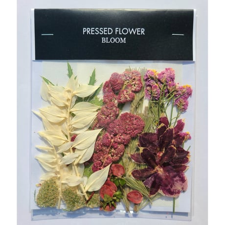 【押し花｜花材セット ラスカス Pressed Flower Kit ギフト・ウェルカムボードなどのハンドメイドに】F-642 BLOOM MAISON