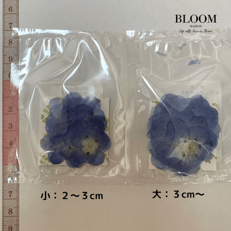 EB-5 ネモフィラ | BLOOM MAISON