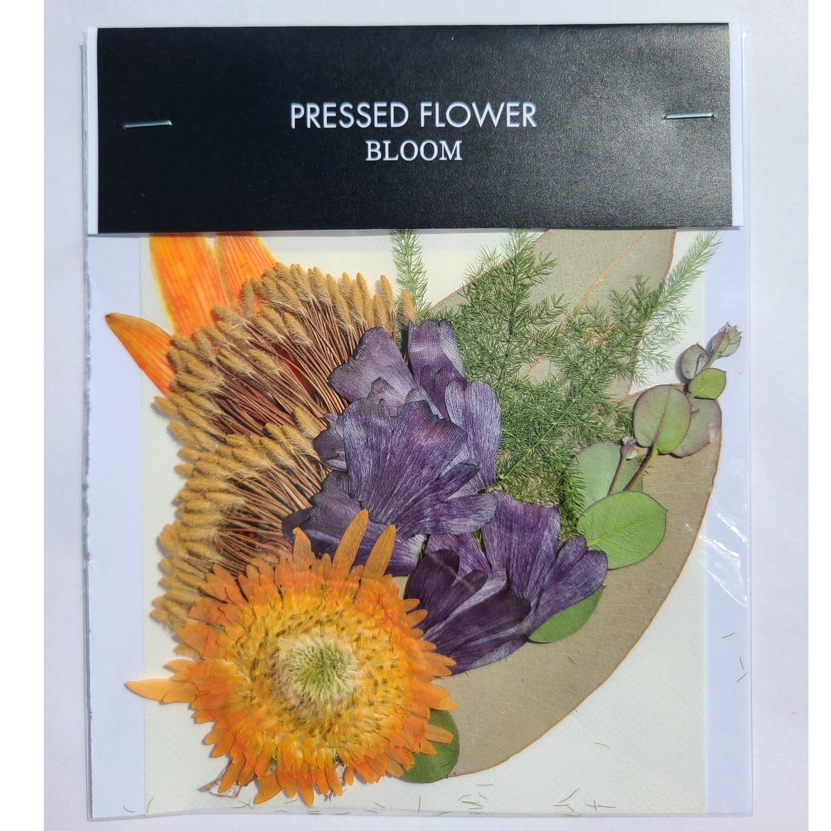 押し花｜花材セット ラナンキュラス Pressed Flower Kit ギフト