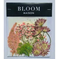 押し花｜花材セット アスチルベ Pressed Flower Kit インテリア・ギフト・ウェルカムボードなどのハンドメイドに　F-998 BLOOM MAISON