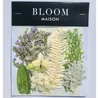押し花｜花材セット ホワイトスター Pressed Flower Kit インテリア・ギフト・ウェルカムボードなどのハンドメイドに　F-922 BLOOM MAISON