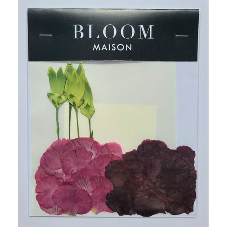 押し花｜花材セット カーネーション Pressed Flower Kit インテリア・ギフト・ウェルカムボードなどのハンドメイドに　F-964 BLOOM MAISON