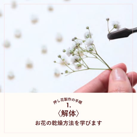 【お申込み申請】2025年9月開講《火曜クラス》PFAP認定アーティストコース