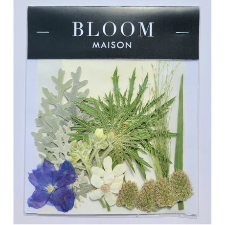 押し花｜花材セット ホワイトスター Pressed Flower Kit インテリア・ギフト・ウェルカムボードなどのハンドメイドに　F-1068 BLOOM MAISON