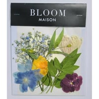 押し花｜花材セット サンダーソニア Pressed Flower Kit インテリア・ギフト・ウェルカムボードなどのハンドメイドに　F-1034 BLOOM MAISON