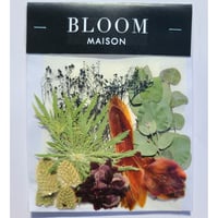 押し花｜花材セット シンビジウム Pressed Flower Kit インテリア・ギフト・ウェルカムボードなどのハンドメイドに　F-932 BLOOM MAISON