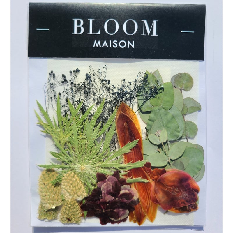 押し花｜花材セット シンビジウム Pressed Flower Kit インテリア